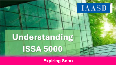 IAASB International Standard on Sustainability Assurance (ISSA) 5000