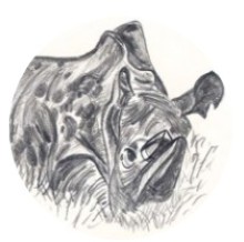 Instructor Image
